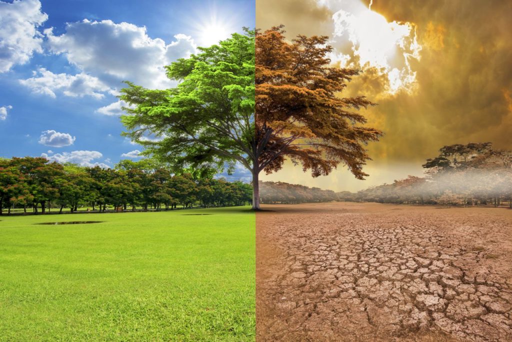 Global Warming