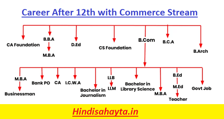Career After 12th With Commerce Stream