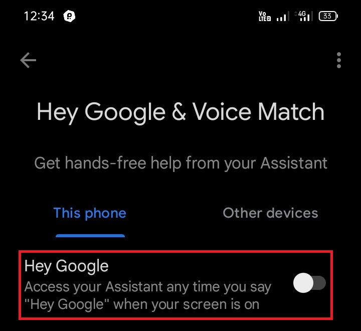 Enable Hey Google Option