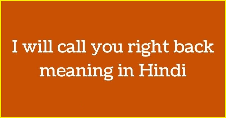 I'll Call You Right Back Meaning in Hindi
