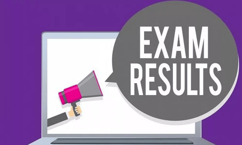 Sarkari-Result-In-Hindi